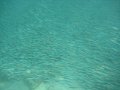 Stephen's photos- Day 4 - Aruba
